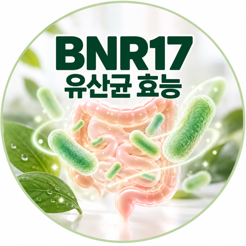BNR17 유산균 효능, 체지방 감소에 정말 도움 될까? 원리부터 정리