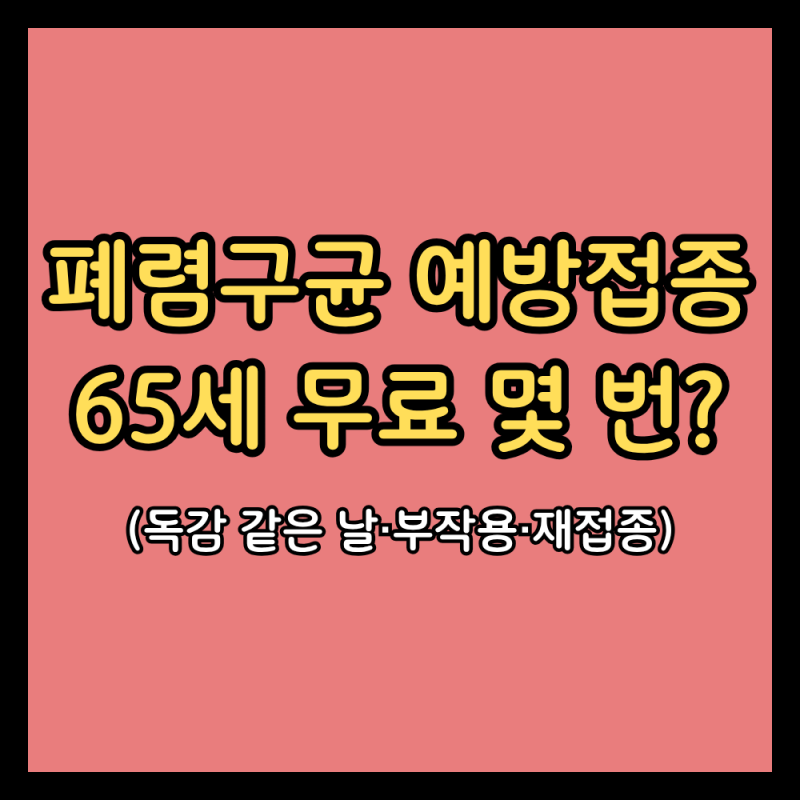 폐렴구균 예방접종, 65세 무료는 평생 한 번일까? (무료대상·독감 같은 날·부작용·재접종)