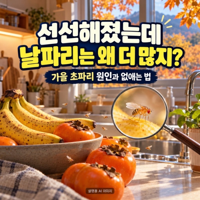 선선해졌는데 집에 날파리는 왜 더 많을까? 가을 초파리 원인과 없애는 법