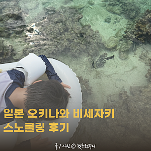 일본 오키나와 여행 아이와 스노클링 비세자키 해변 후기