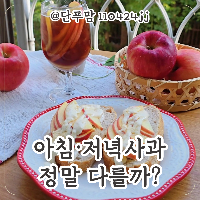 사과 영양성분 아침사과 효능 저녁사과효능 정말 다를까?