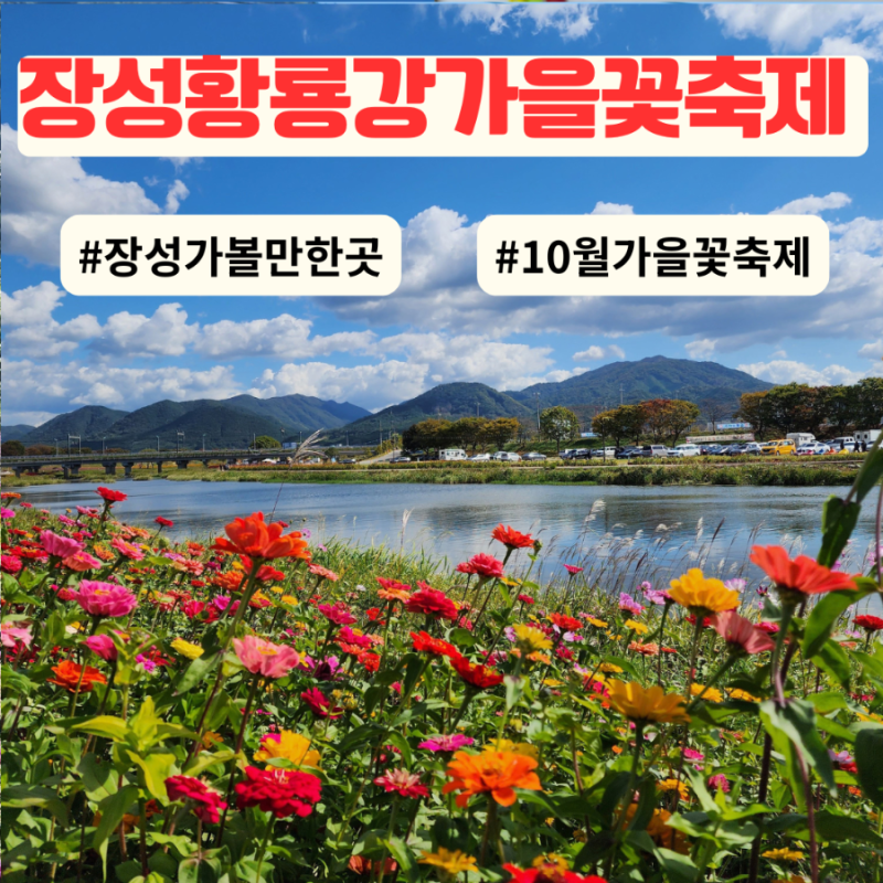 2026 장성 황룡강 축제 기본정보 일정 주차 가수 라인업 장성 가볼만한곳