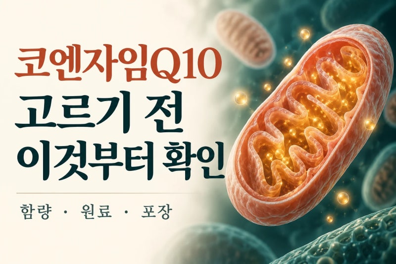 코엔자임Q10 효능과 복용시간, 피로하고 혈압 오를 때 코큐텐 제대로 고르는 법