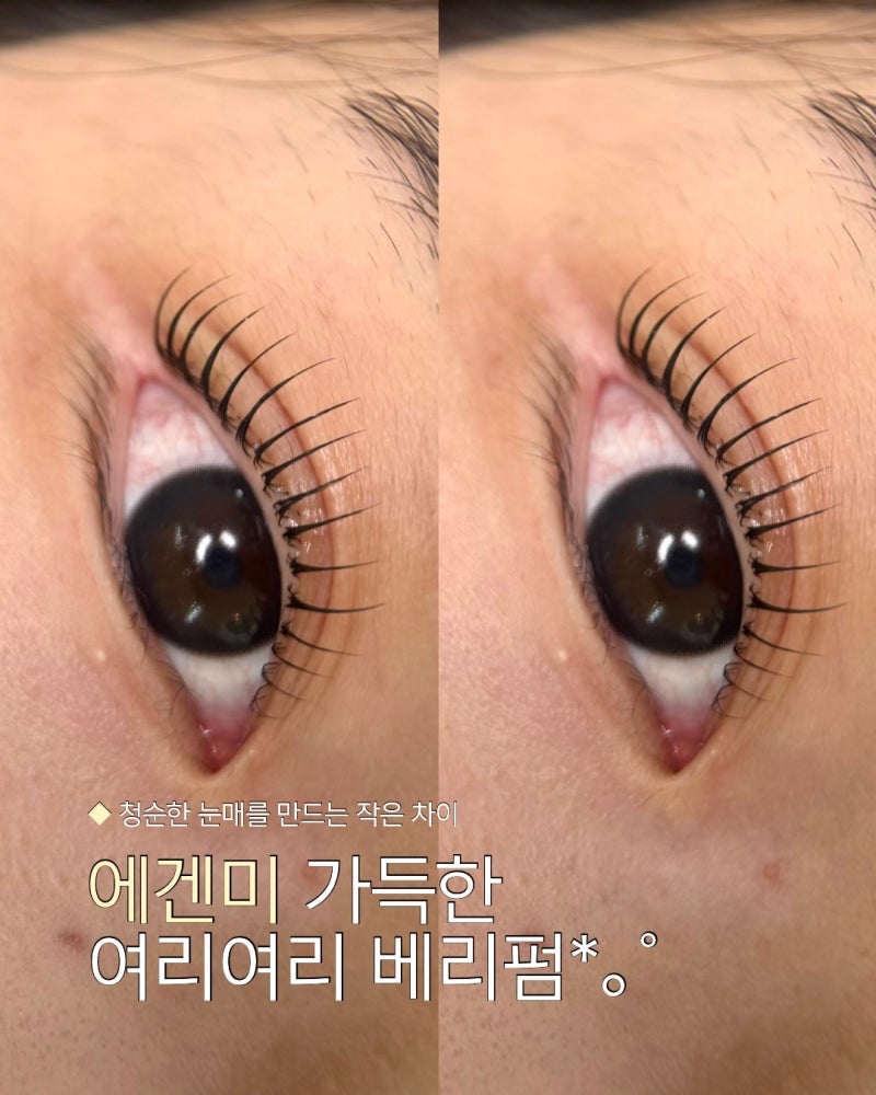 속눈썹펌 후 관리방법 컬 오래 가게 하는 비결