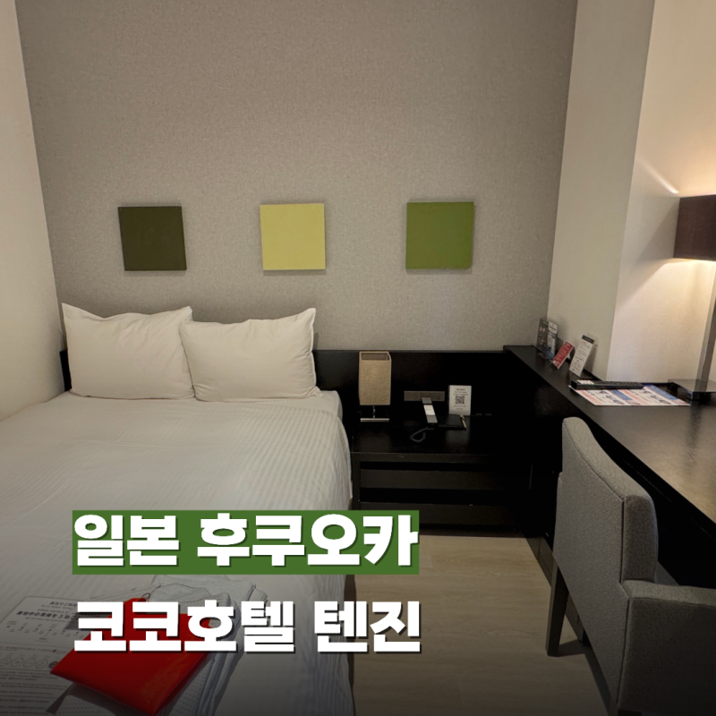 후쿠오카 텐진 숙소 위치 추천 코코호텔 내돈내산 스탠다드 더블룸 후기