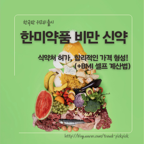 다이어트 신세계 열리나? 국산 1호 비만 주사 ‘에페’ 식약처 허가 소식 & BMI로 내 체형 체크....