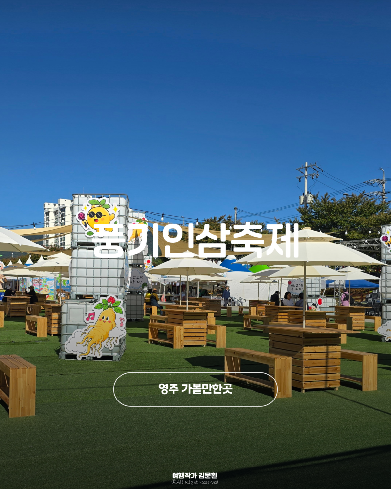 영주 여행 가볼만한곳 경북 영주풍기인삼축제 방문 후기