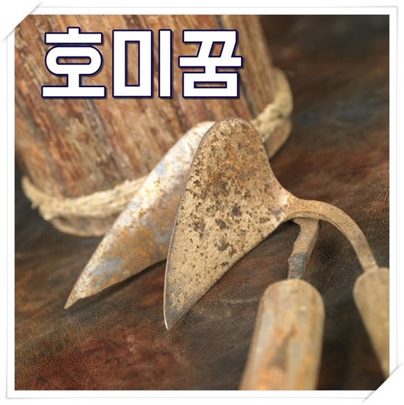 호미꿈 해몽 호미로금캐는꿈 재밌는 풀이 모음
