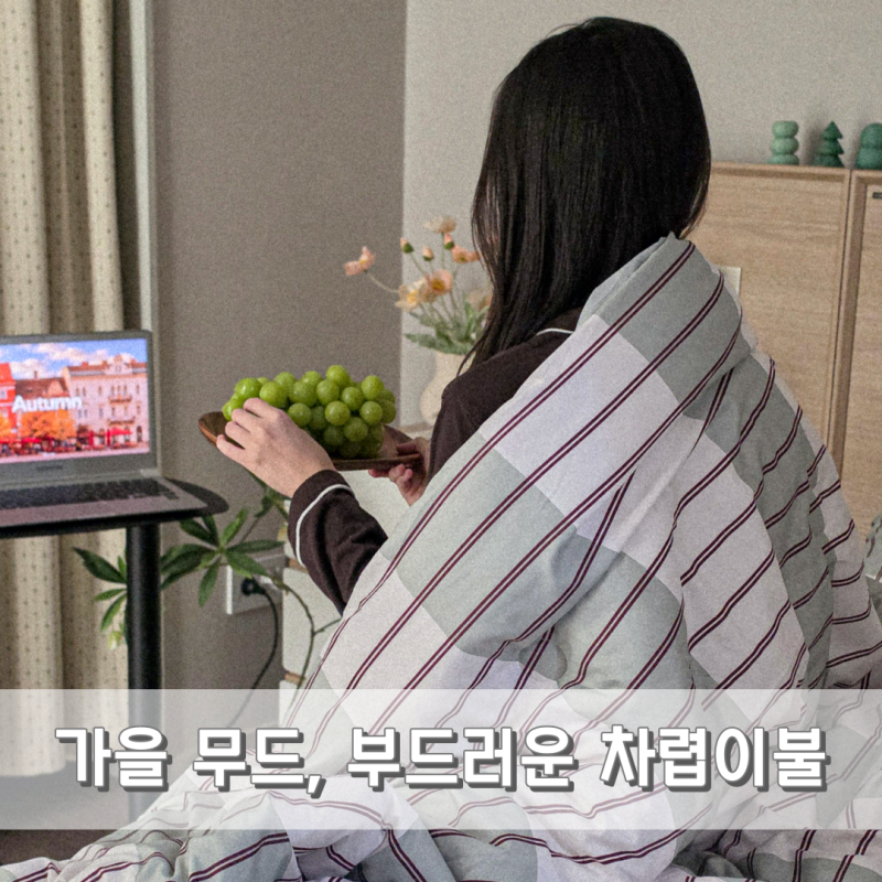 소리에 민감하다면, 베베데코 간절기 사계절 차렵 이불 세트 데이즈 소프트터치