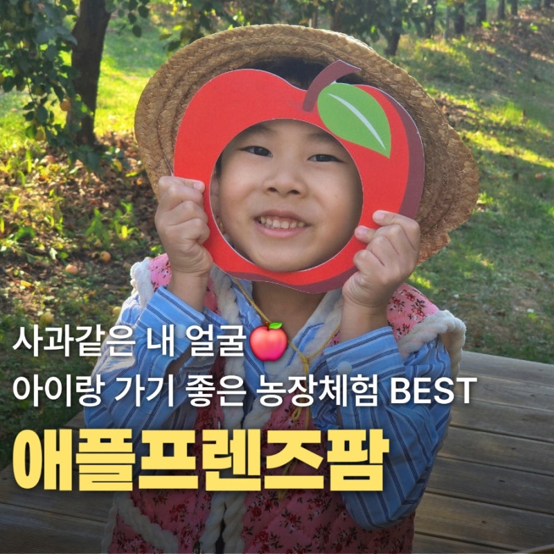 김포 아이랑 가볼만한 곳 애플프렌즈팜 미니사과따기 체험 가격과 후기까지