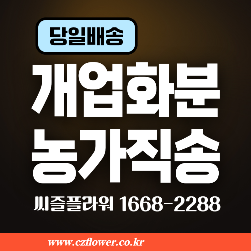 수원 개업 축하 화분 가격 및 배달
