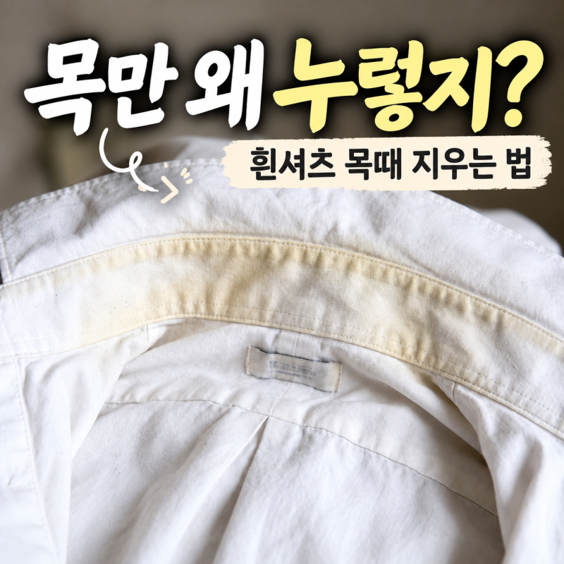 흰셔츠 목때 왜 자꾸 누래질까? 와이셔츠 누런때 이렇게 지워야 해요