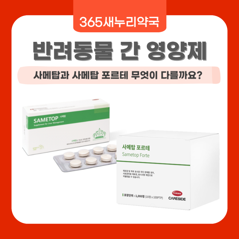 사메탑과 사메탑 포르테, 무엇이 다를까요? | 목동역365약국 동물약국