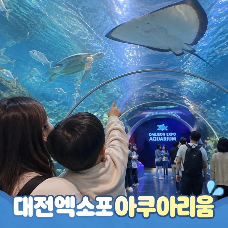 10월가을 아이랑 대전엑스포아쿠아리움 할인 주차 공연 총정리