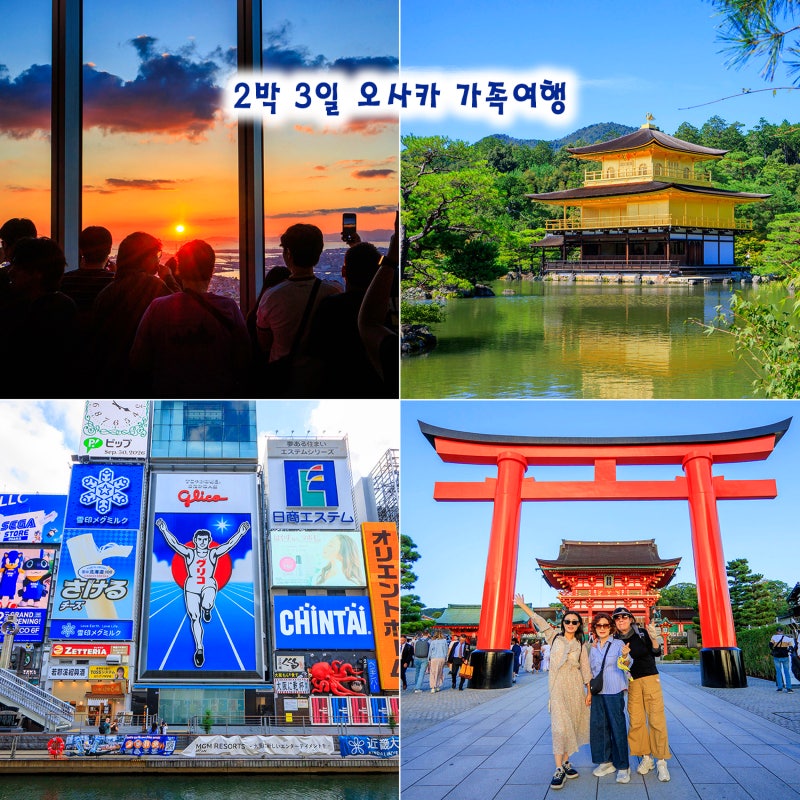 오사카 가족여행 2박 3일 일정 도톤보리 숙소 버스투어 후기