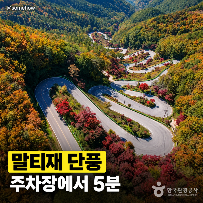 말티재 단풍 드라이브 2026 | 열두 굽이 고갯길·전망대 주차, 등산 없이 보는 속리산 단풍