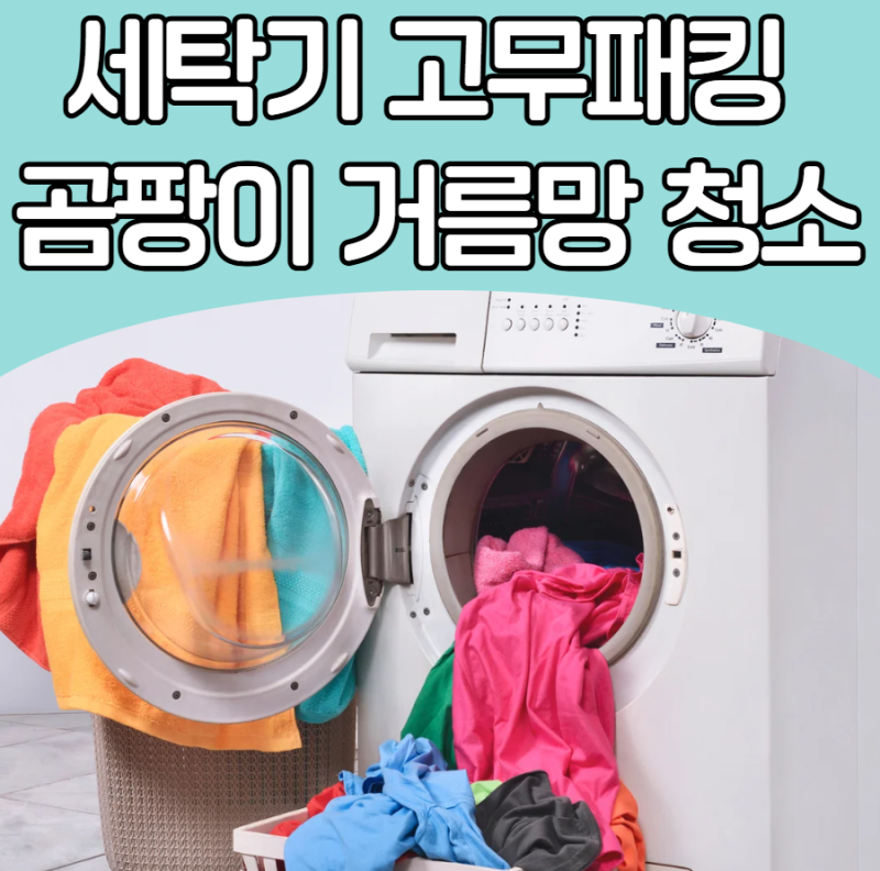 세탁조 클리너 없이 빨래 쉰내 원인 박멸! 세탁기 통세척 고무패킹 곰팡이와 거름망 청소 팁