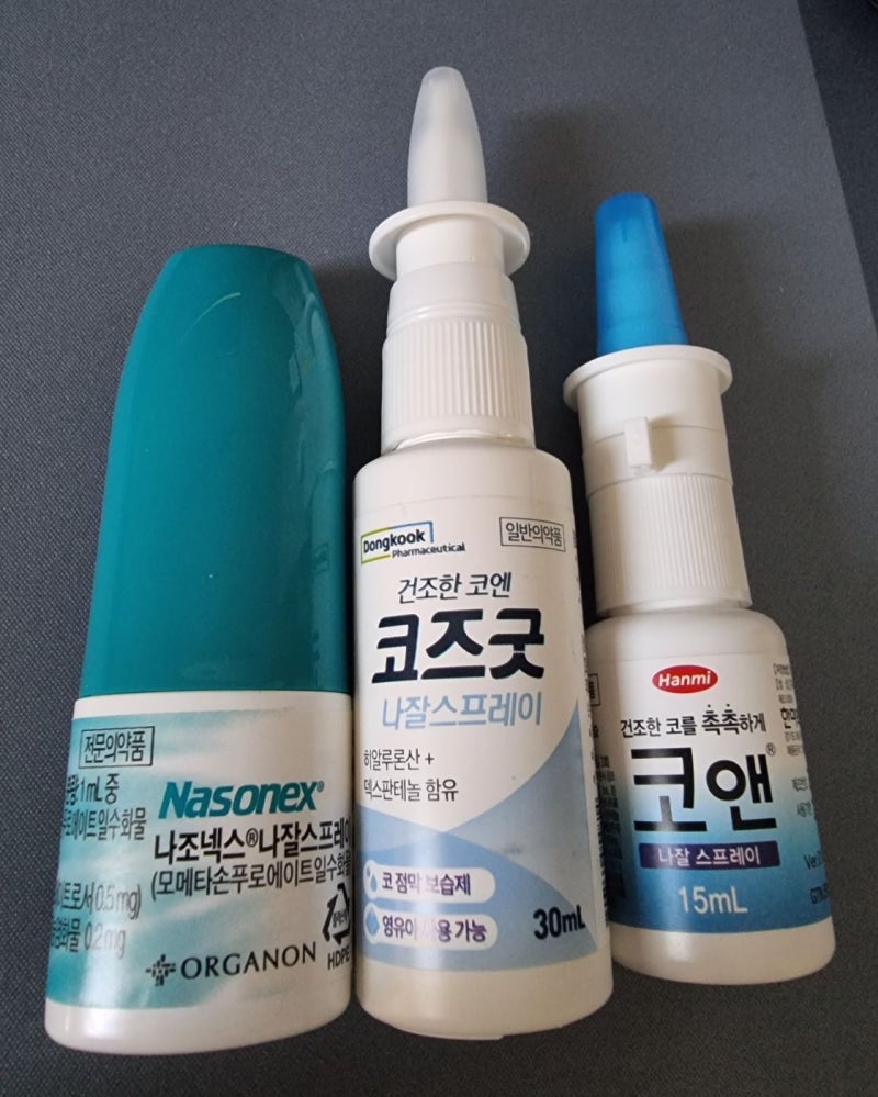 코 건조 스프레이 비염으로 찢어진 코에 코즈굿 코앤 써본 후기