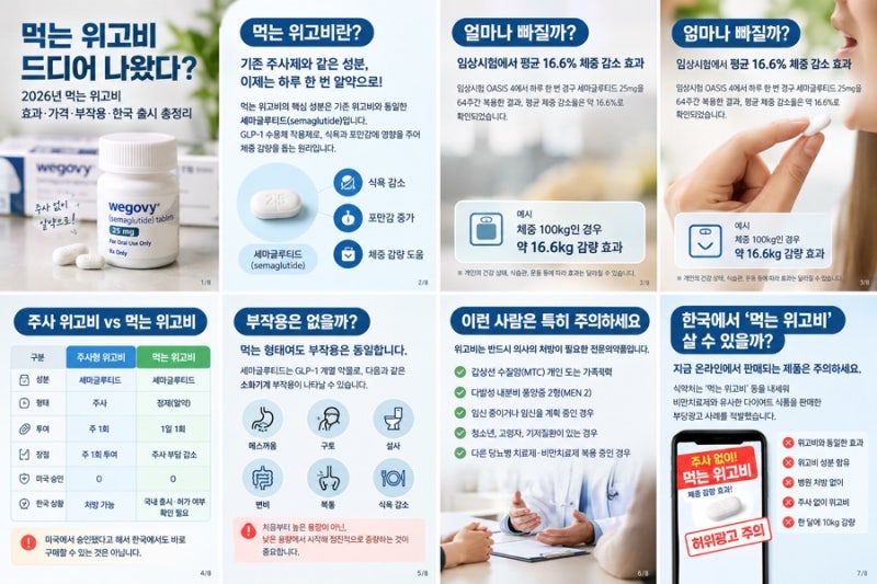 먹는 위고비 드디어 나왔다? 2026년 먹는 위고비 효과·가격·부작용·한국 출시 총정리