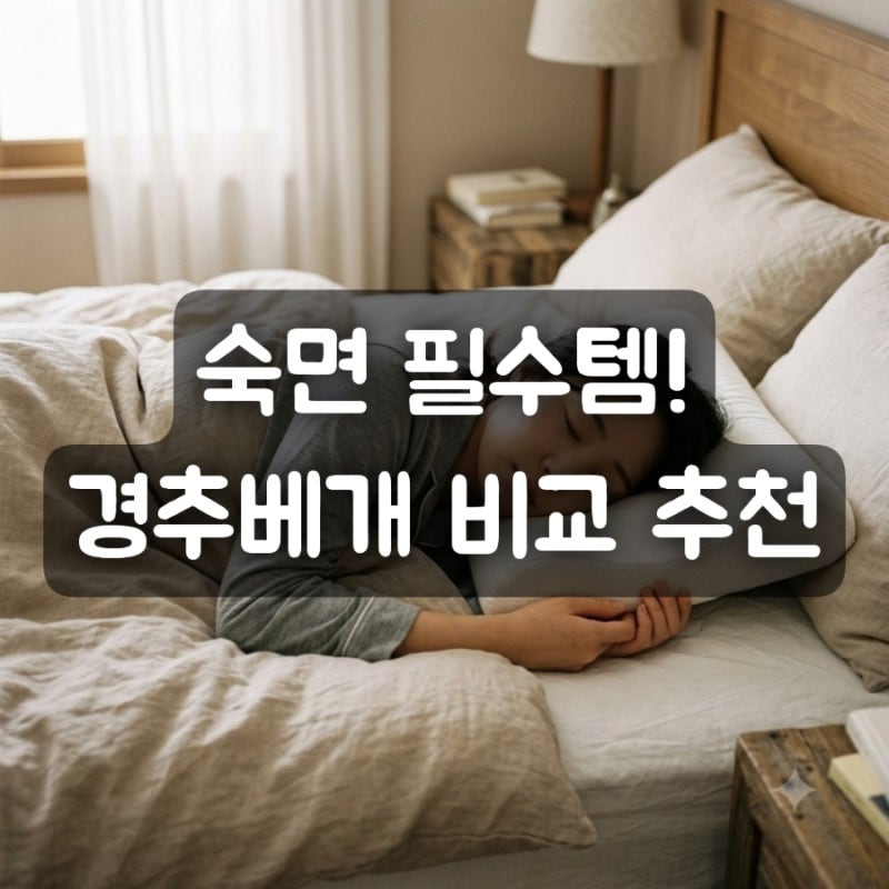 목이 자주 뻐근한 분들 주목! 거북목 일자목 경추베개 추천 비교 3종