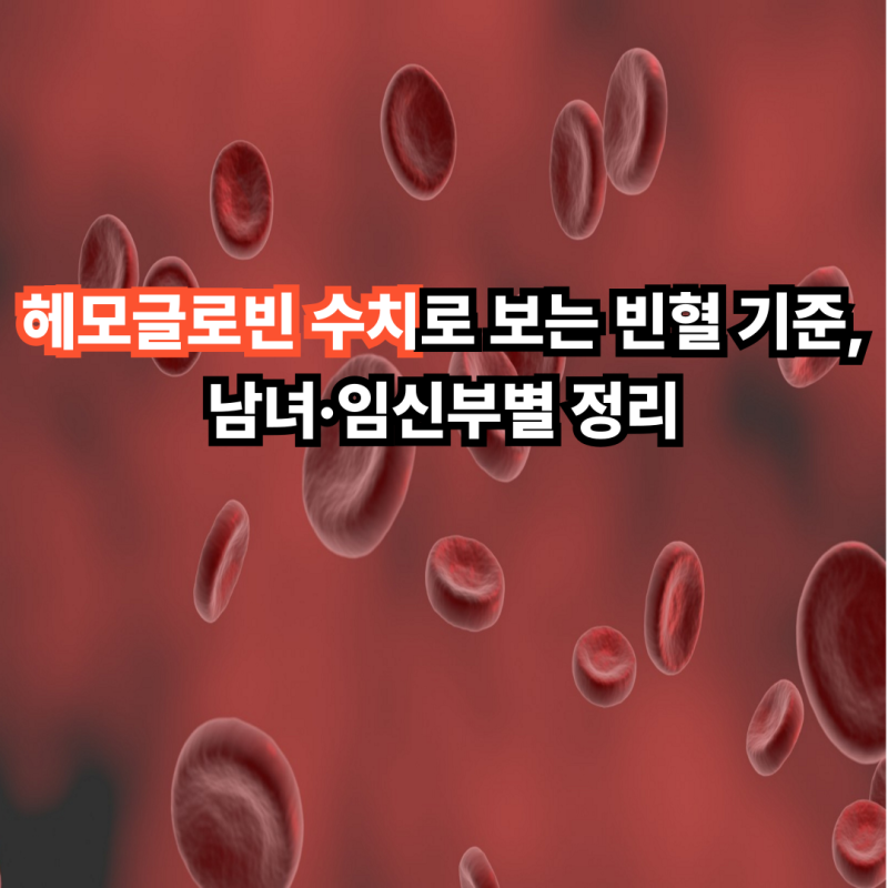 헤모글로빈 수치로 보는 빈혈 기준, 남녀·임신부별 정리