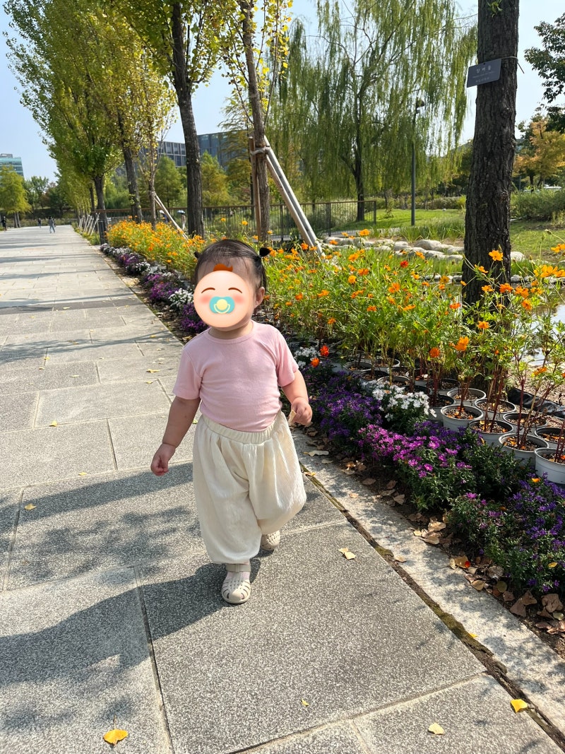 아기랑 지하철타고 서울 식물원 나들이, 서울형 키즈카페 방문 실패, 마곡 일본가정식 키츠....