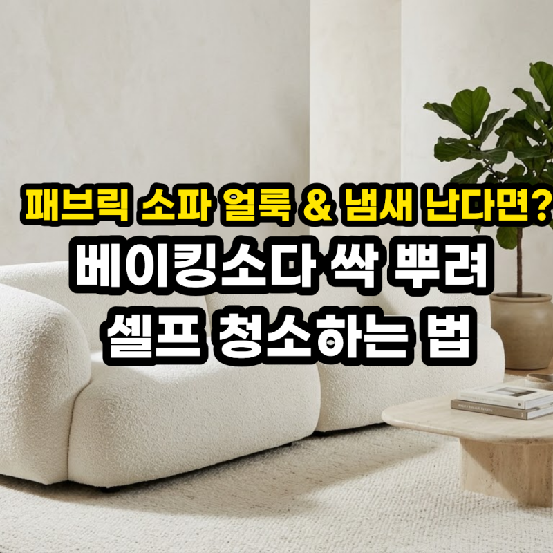 패브릭 소파 얼룩 제거 & 청소법! 의자 찌든때 냄새 베이킹소다 셀프 세척 꿀팁