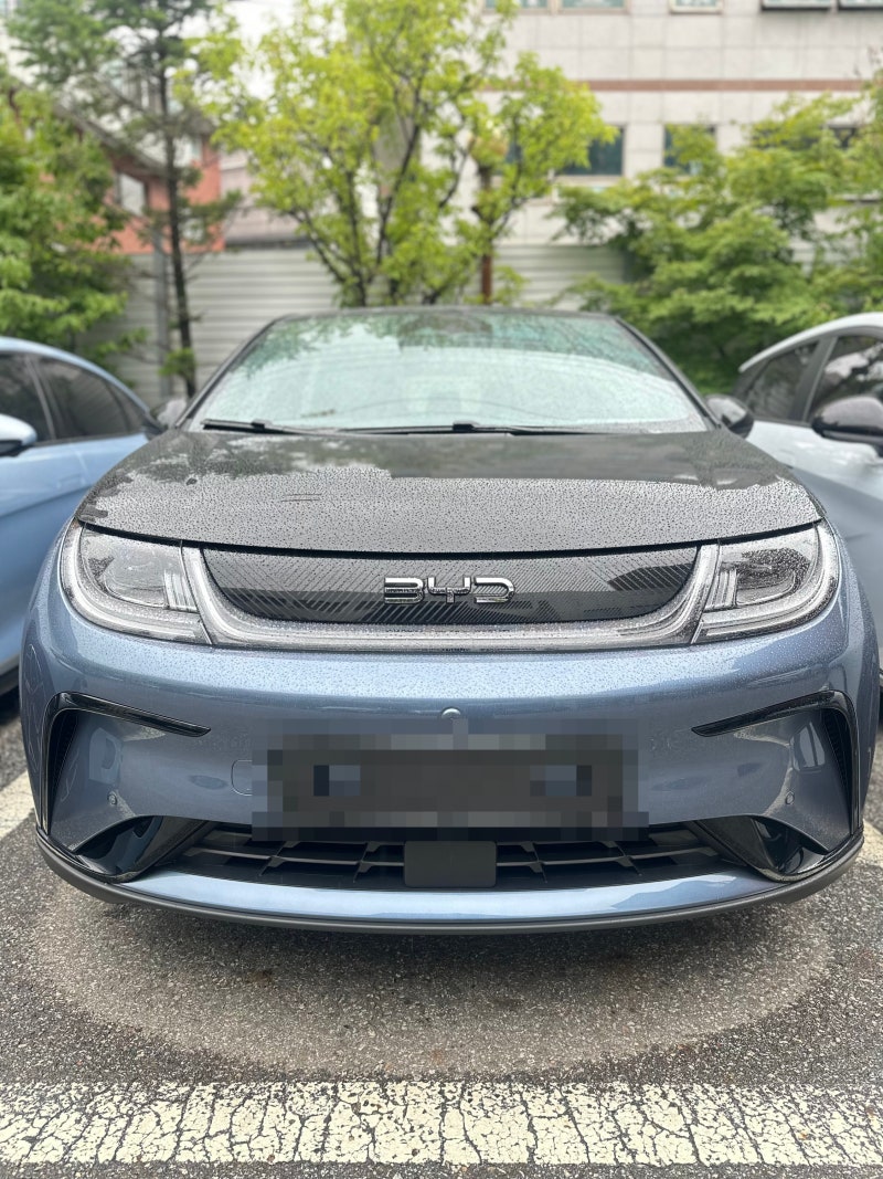 BYD 돌핀 액티브, 그동안 대기 계약이었지만 10월엔 바로 출고 가능합니다 (스탠다드와 비교)