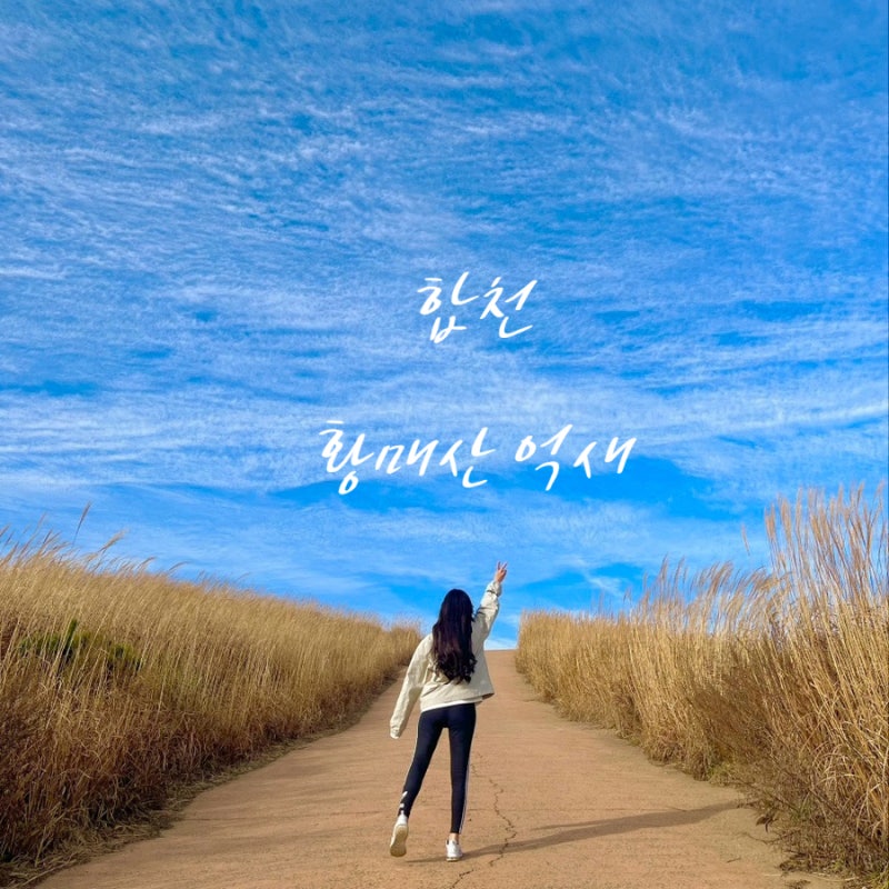 10월 국내여행 합천 황매산 억새 주차 및 실시간상황