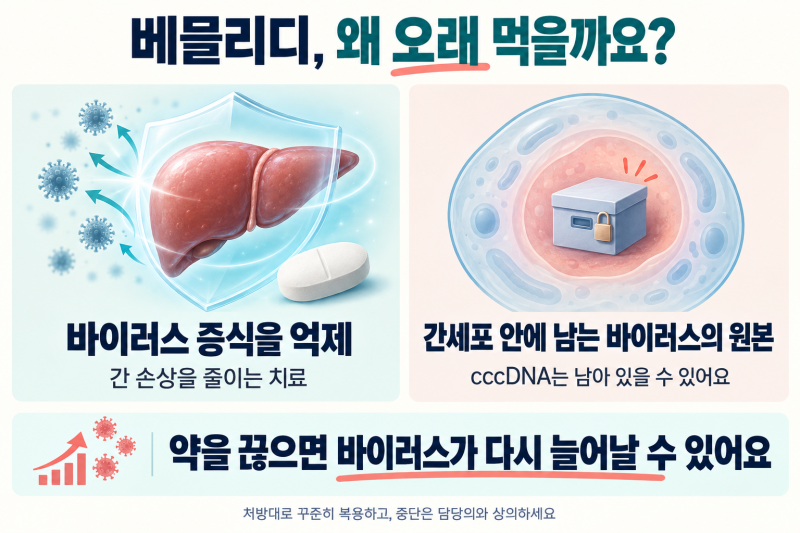 베믈리디·바라크루드·비리어드, B형 간염약은 평생 먹어야 할까요?
