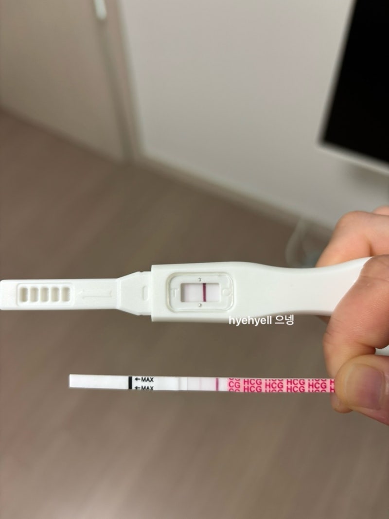 40대 노산 초산 산모 임신일기 극초기-초기 증상 (마운자로 베이비 일지도..) 콩주사 크녹산 1....