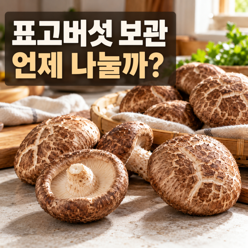 표고버섯 보관법, 씻는 시점부터 냉장·냉동 나누는 기준까지