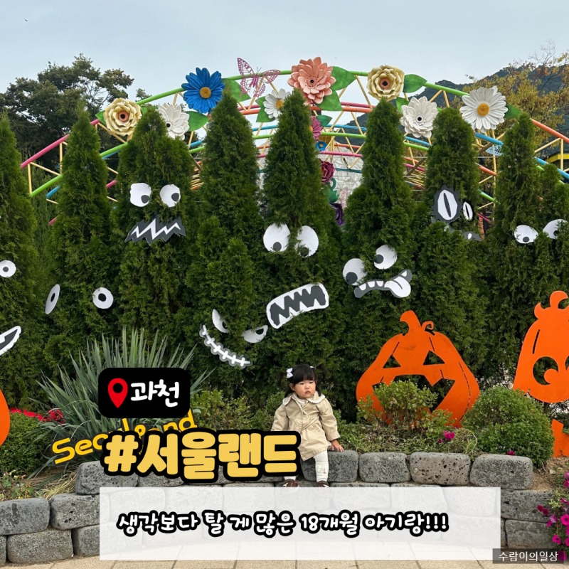 과천 서울랜드 18개월 80cm 아기방문후기 : 탑승가능놀이기구, 주말주차꿀팁, 유아휴게실