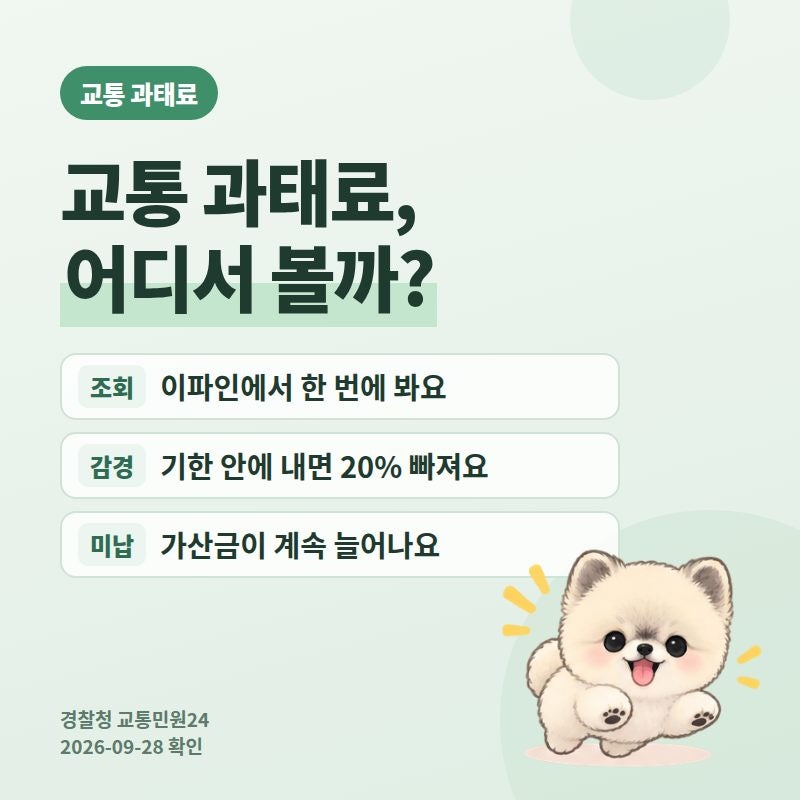 교통 과태료 조회 납부 2026, 이파인(교통민원24)에서 의견진술 기간 내 20% 감경받는 법과 범칙....