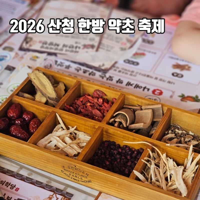 산청한방약초축제 2026 아이와 체험 후기 주차 및 꿀팁