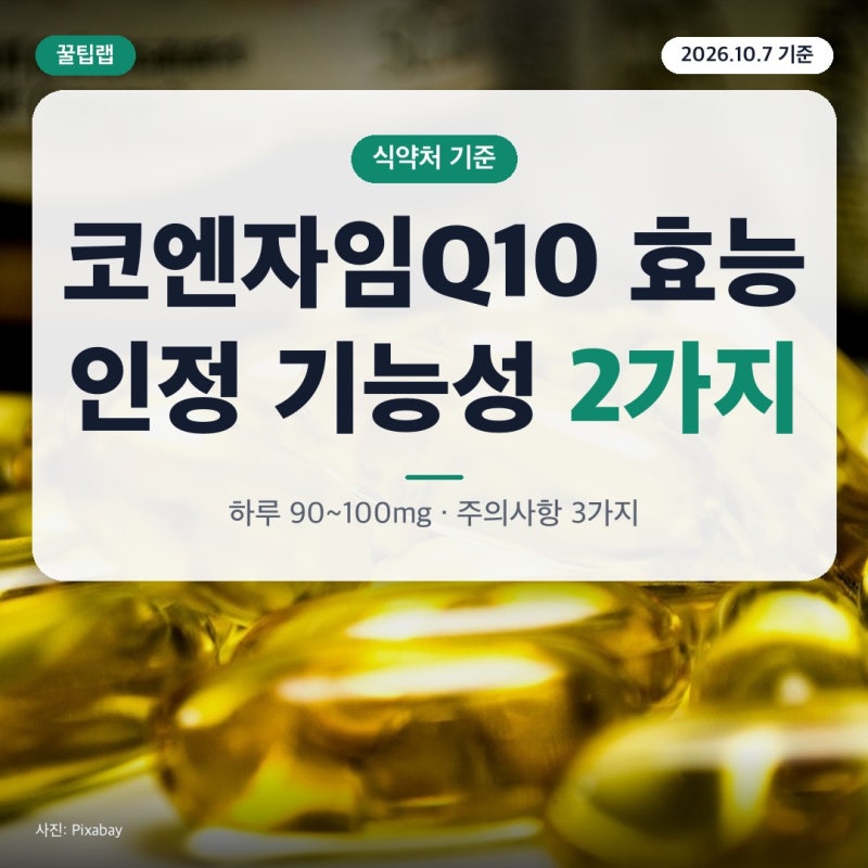 코엔자임Q10 효능은 식약처 기준 2가지, 하루 90~100mg과 먹기 전 주의사항