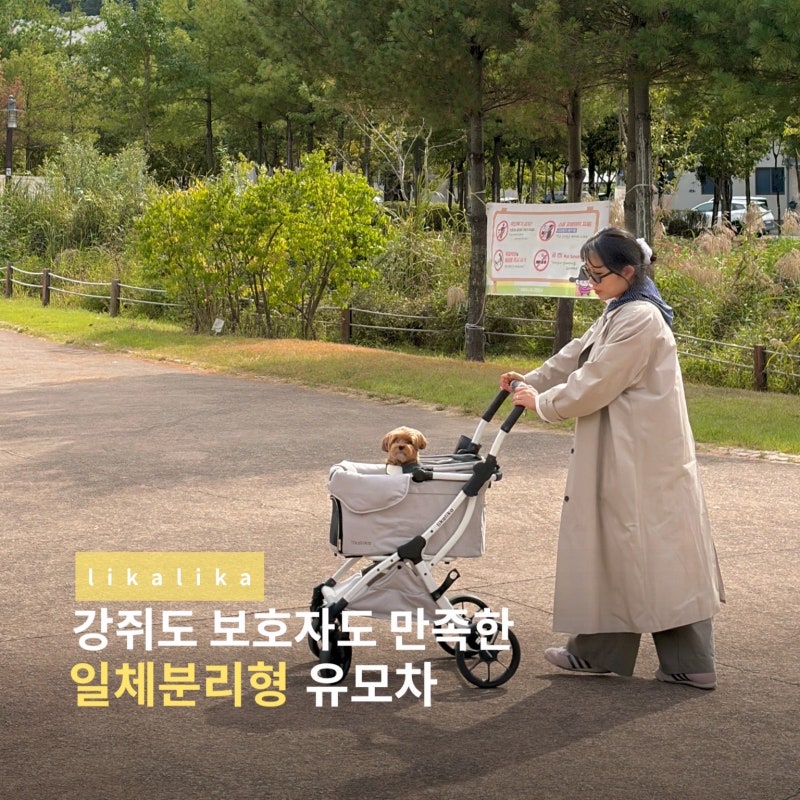 강아지 유모차! 리카리카 듀오컴팩트로 결정한 이유