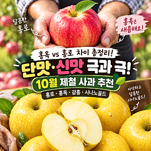 홍옥 vs 홍로 차이 총정리! 단맛·신맛 극과 극, 10월 제철 사과 추천
