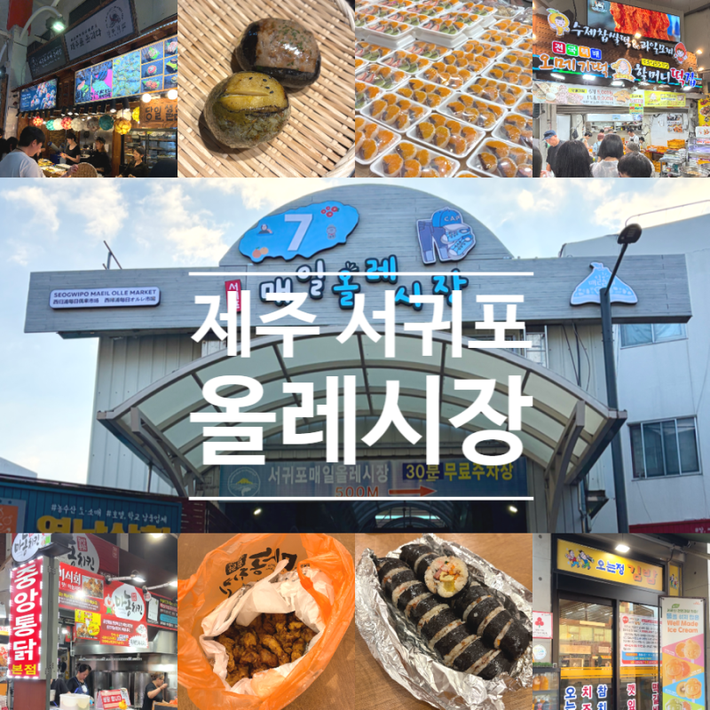 제주 서귀포 올레시장 먹거리 & 오는정김밥 예약 팁