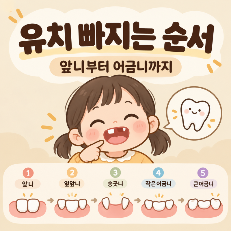 아기 유치 빠지는 시기 언제부터?｜유치빠지는순서·영구치 나는 시기 총정리