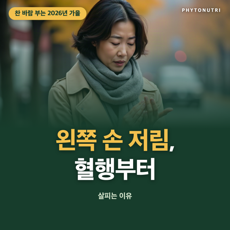 왼쪽 손 저림, 찬 바람 부는 2026년 가을에 혈행부터 살피는 이유