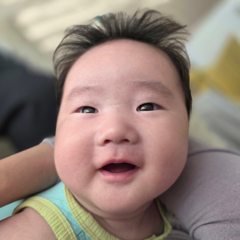 집에서 백일상 준비하기, 셀프 백일상 준비물과 상차림 순서