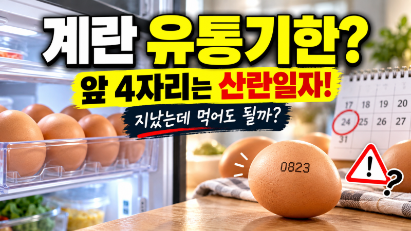 계란 유통기한 소비기한 총정리 난각번호 앞 4자리와 올바른 냉장 보관법