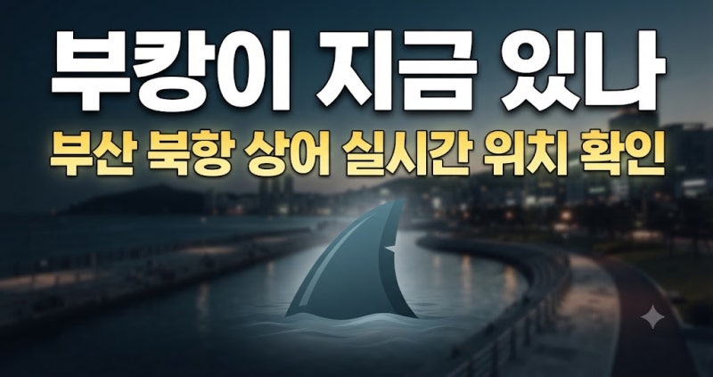 부산 북항 친수공원 상어 '부캉이' 실시간 위치 확인법 및 지도 사이트 총정리