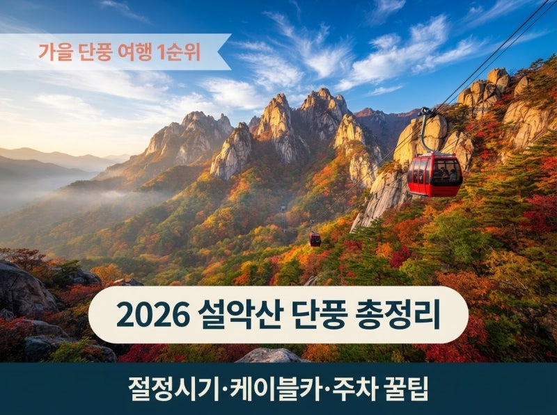 2026 설악산 단풍 절정 시기｜케이블카 예매 팁·주차장·코스 총정리