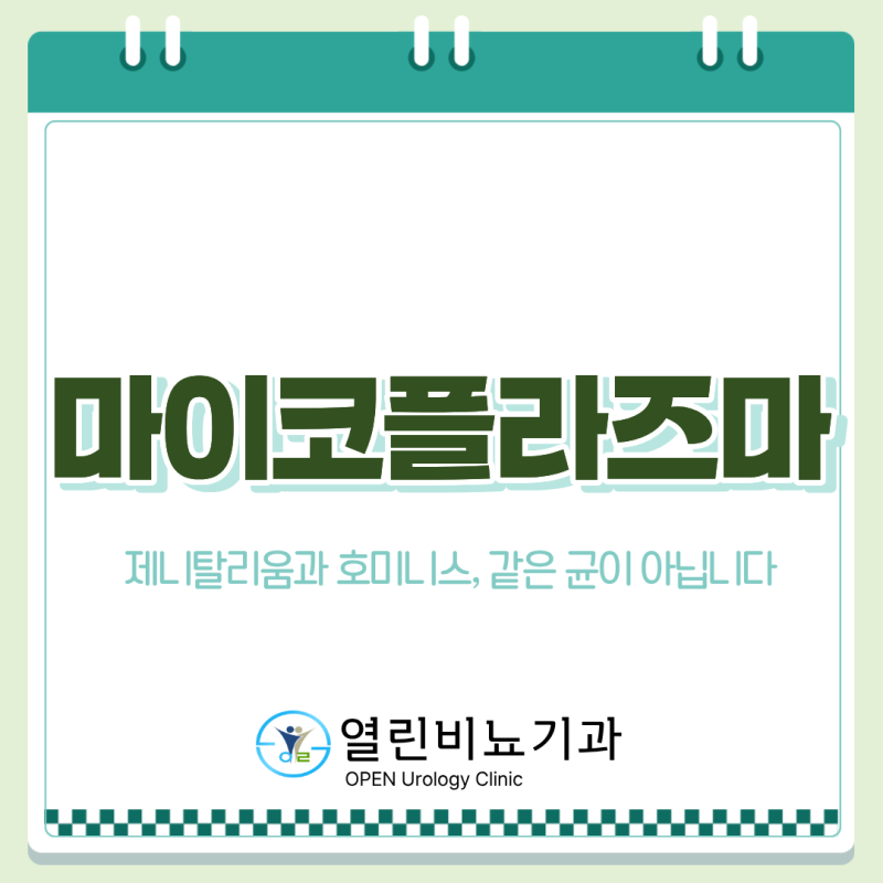 남자 마이코플라즈마, 증상이 약해도 요도염일까요? 임질과 어떻게 다른가요?