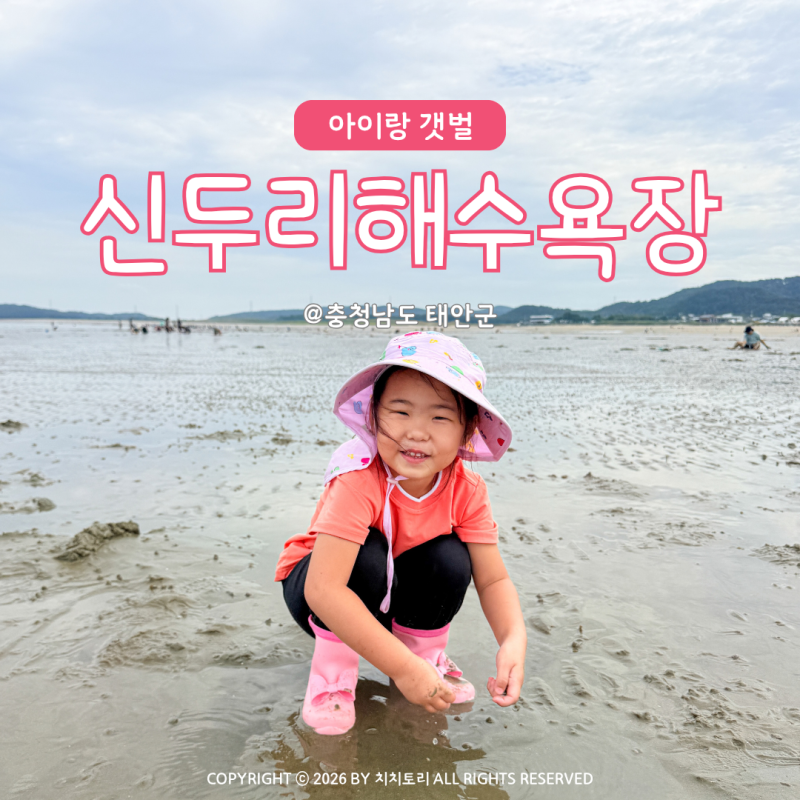 아이랑 갯벌 체험 태안 신두리해수욕장 조개 물때 준비물 해루질 후기