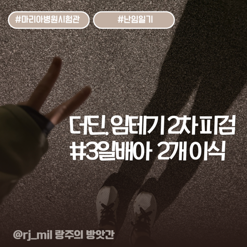 [난임일기] 시험관 1차 더딘 임테기 진짜 늦은 착상일까? 2차 피검사 결과