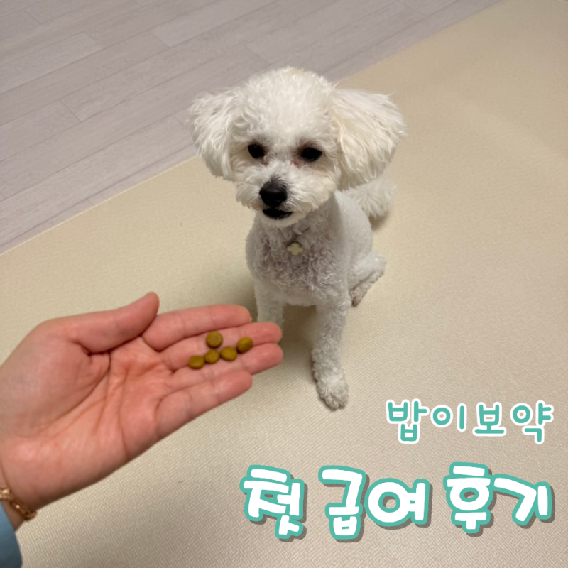 하림 밥이보약 든든한 면역 후기, 3.7kg 강아지 사료 변경 후 반응