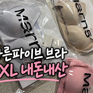 마른파이브 쉬어 브라 시그니처 2XL 내돈내산｜살툭튀 고민이라면